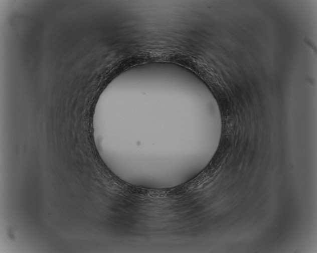 X0000091361249200709071255