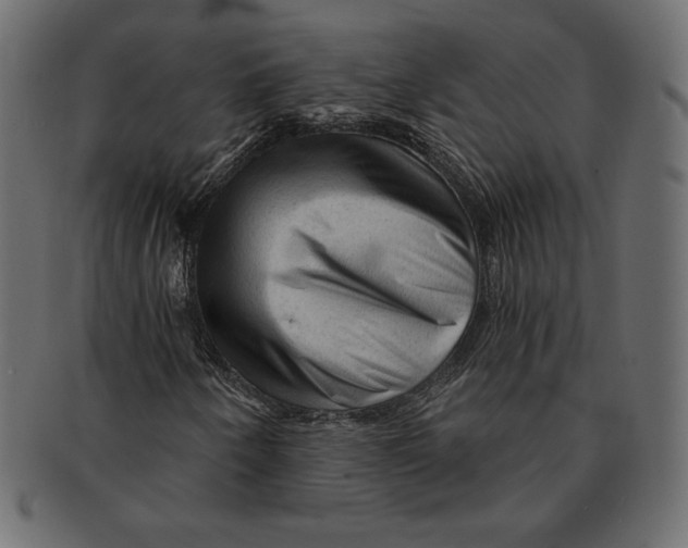 X0000091361250200709071255
