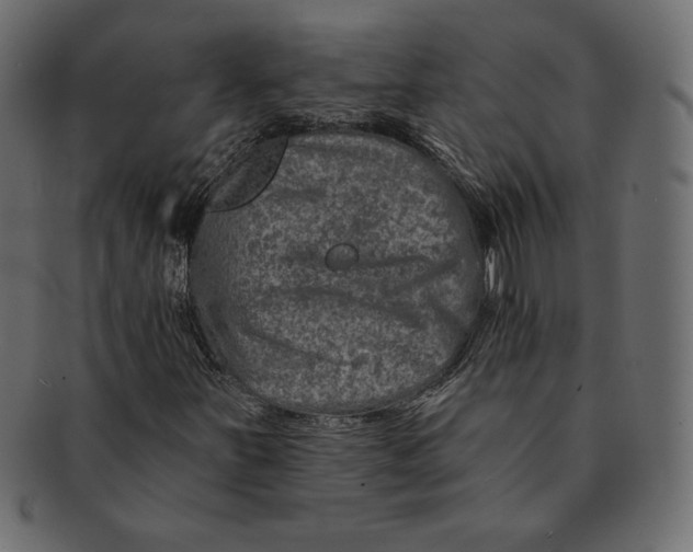 X0000091361251200709071255