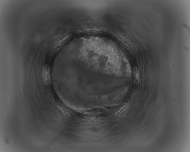 X0000091361252200709071255