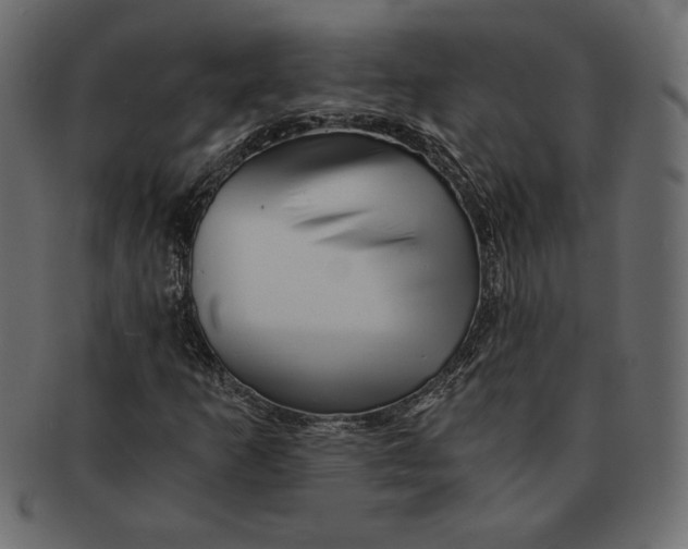 X0000091361253200709071255