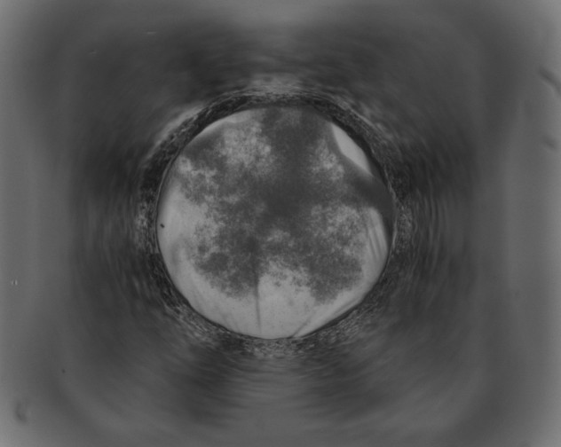 X0000091361254200709071255