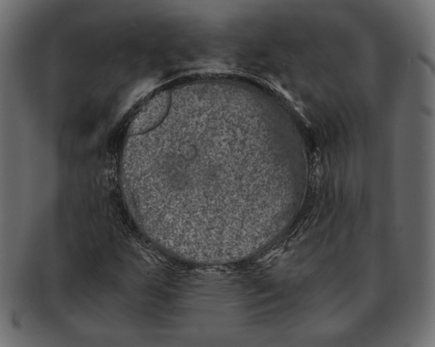 X0000091361255200709071255