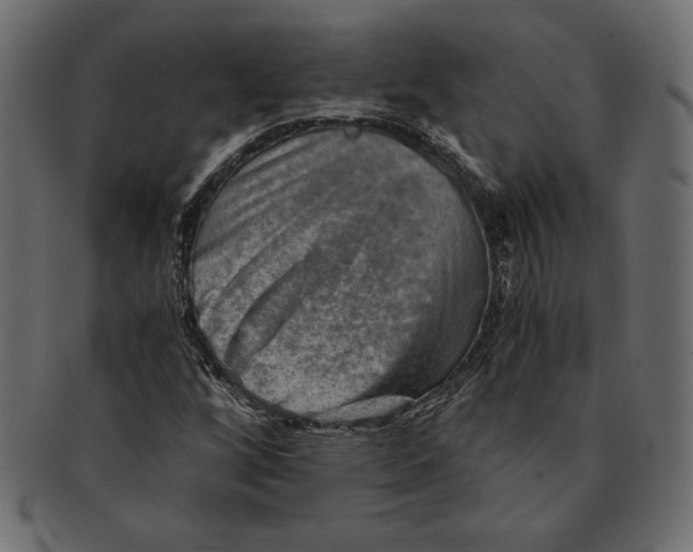 X0000091361256200709071255