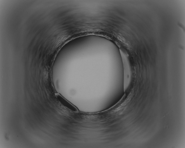 X0000091361257200709071255