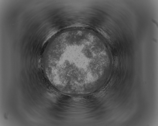 X0000091361258200709071255