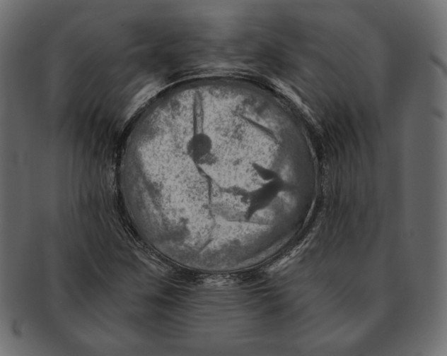 X0000091361259200709071255
