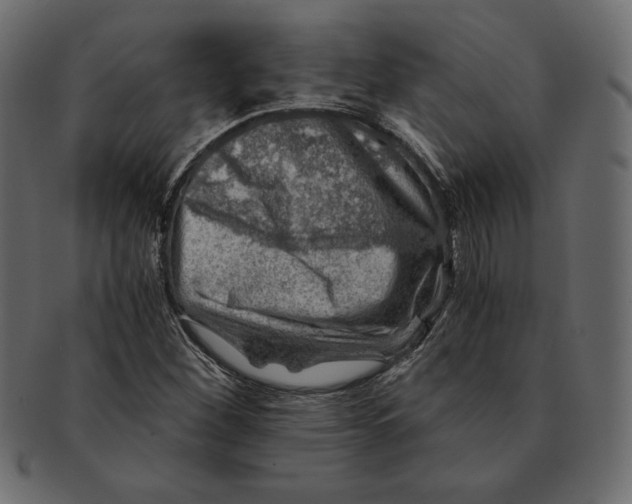 X0000091361260200709071255