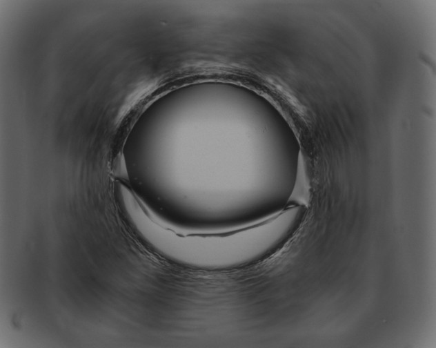 X0000091361261200709071255