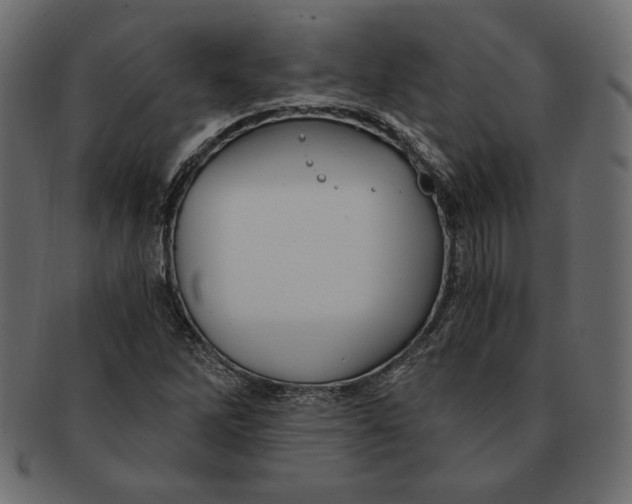 X0000091361262200709071255
