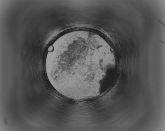 X0000091361263200709071255