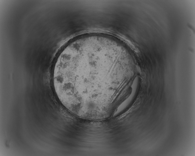 X0000091361264200709071255