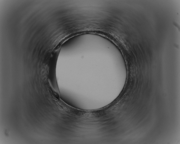 X0000091361265200709071255