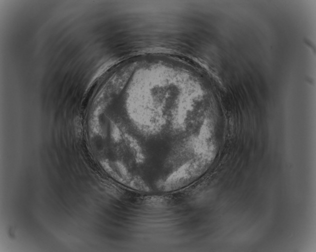 X0000091361266200709071255