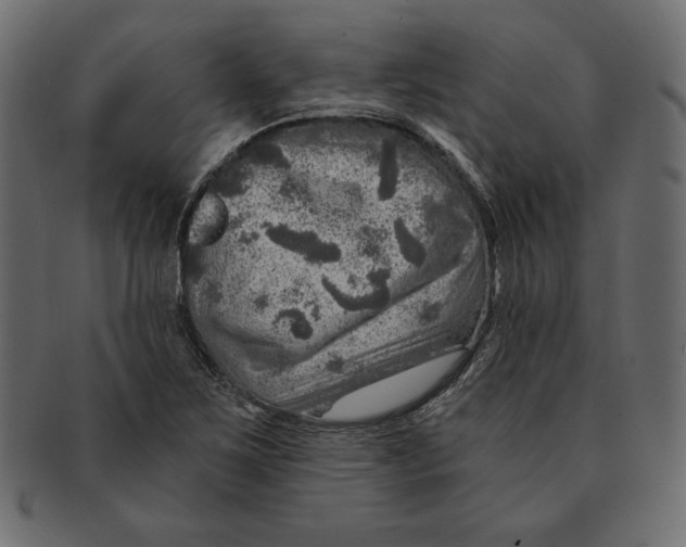 X0000091361267200709071255