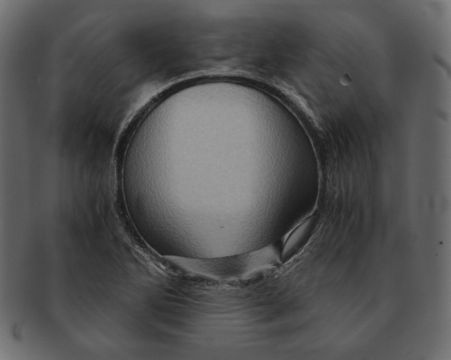 X0000091361270200709071255