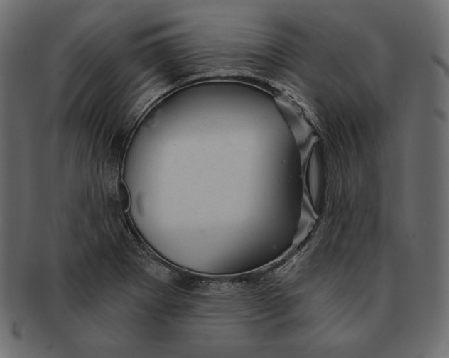 X0000091361273200709071255