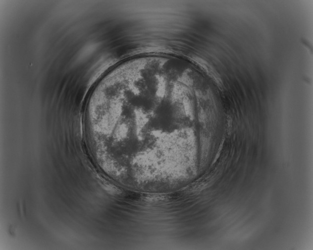 X0000091361274200709071255