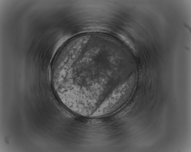 X0000091361275200709071255