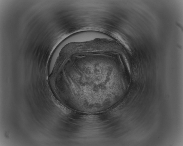 X0000091361276200709071255