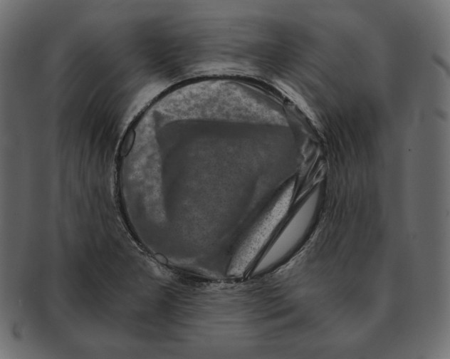X0000091361277200709071255