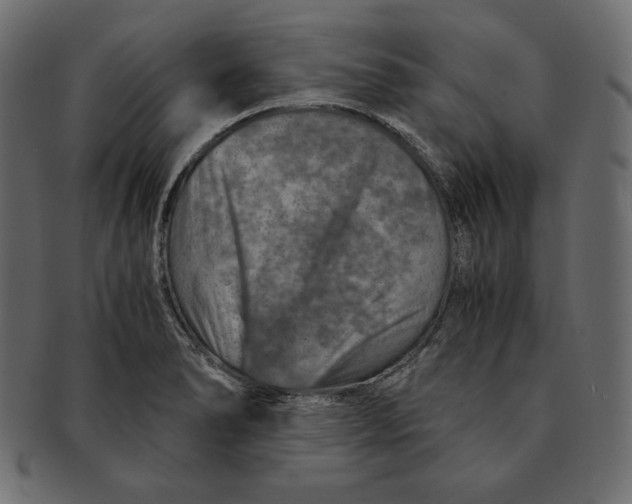 X0000091361278200709071255