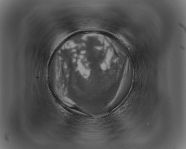 X0000091361279200709071254