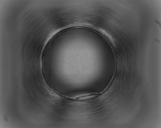 X0000091361280200709071254