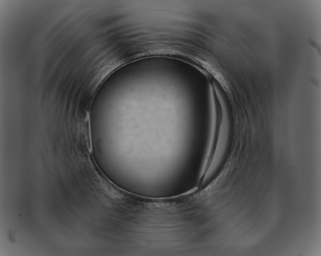 X0000091361281200709071254