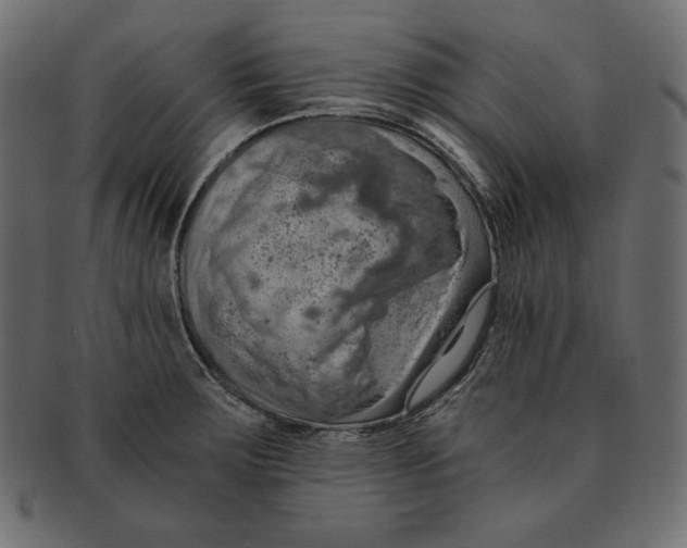 X0000091361283200709071254