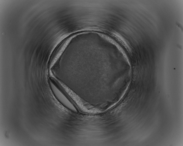 X0000091361284200709071254