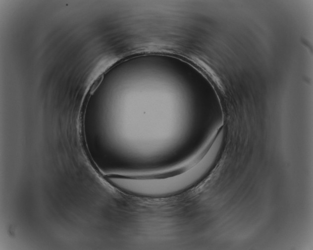 X0000091361285200709071254