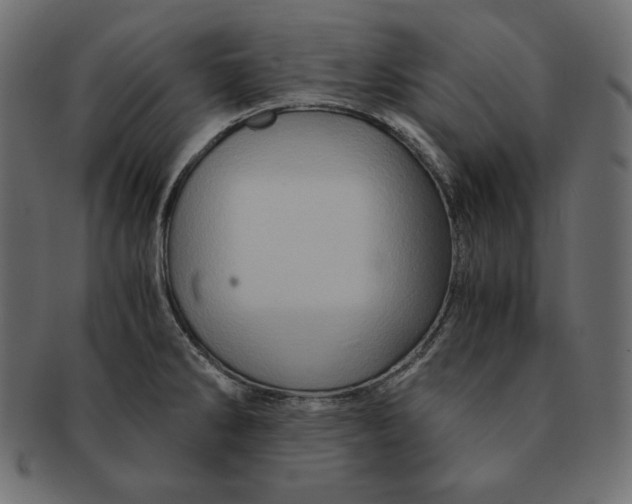X0000091361286200709071254
