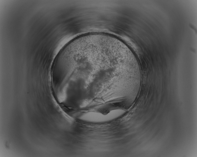 X0000091361287200709071254