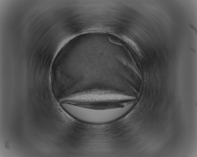X0000091361288200709071254