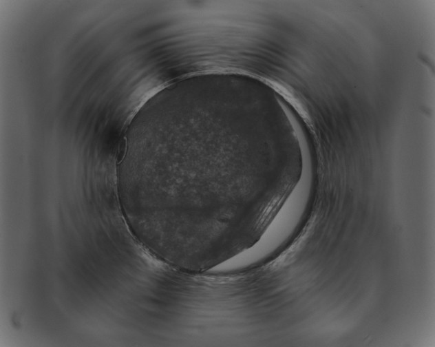 X0000091361289200709071254