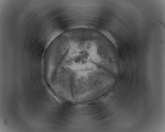 X0000091361290200709071254