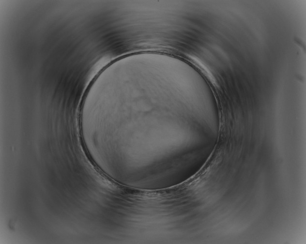 X0000091361291200709071254