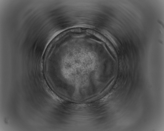 X0000091361292200709071254