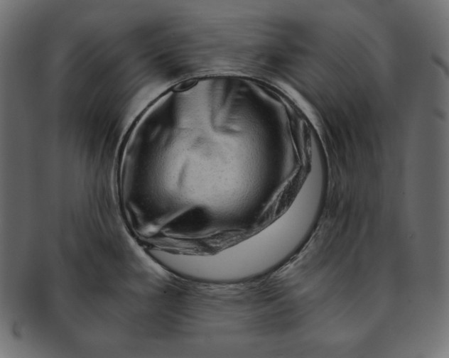 X0000091361293200709071254