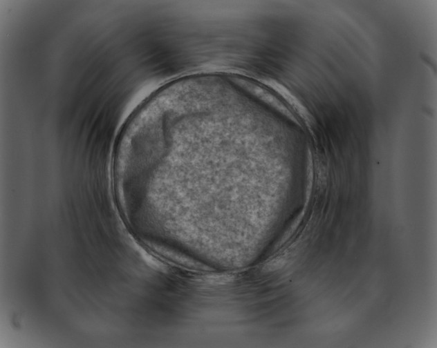 X0000091361294200709071254
