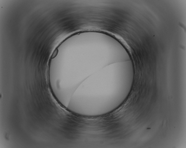 X0000091361295200709071254