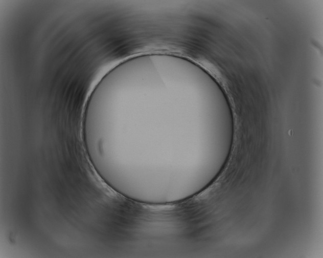 X0000091361296200709071254