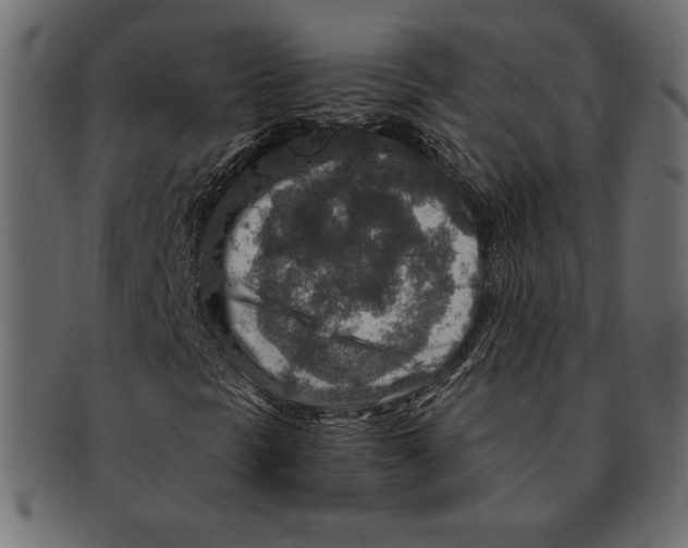X0000091361297200709071253