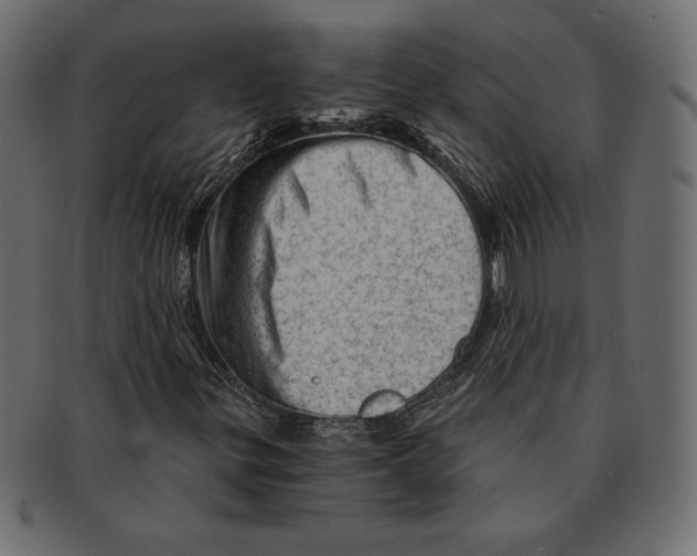 X0000091361299200709071253