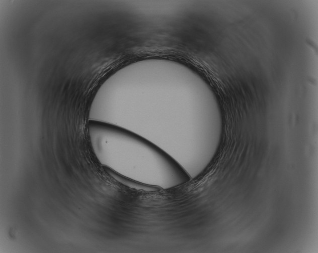 X0000091361300200709071253