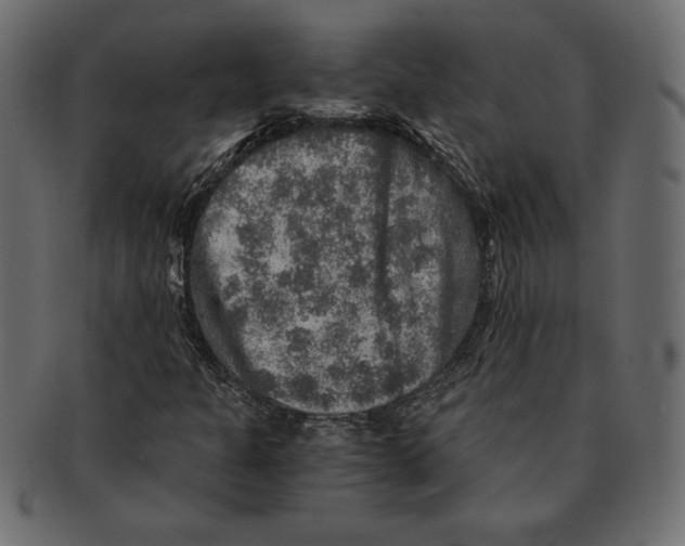 X0000091361301200709071254