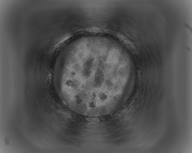 X0000091361302200709071254