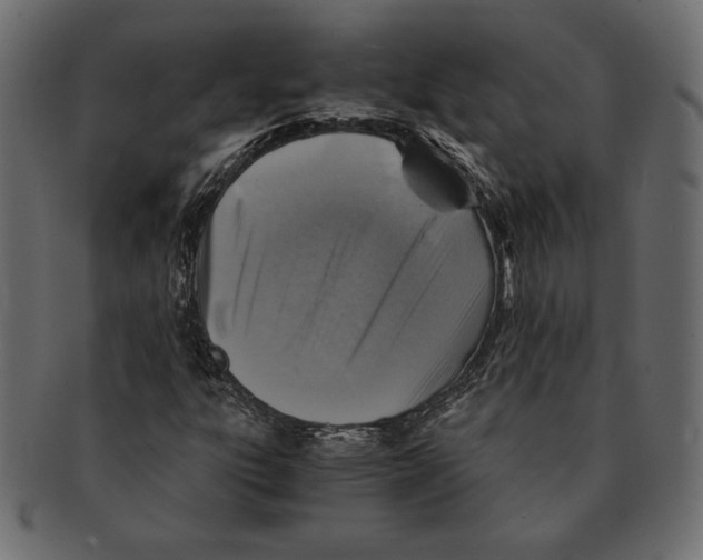 X0000091361303200709071254