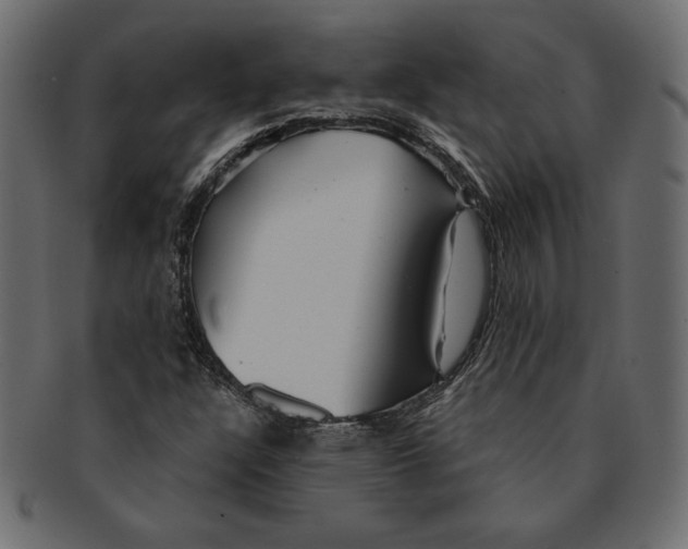 X0000091361304200709071254